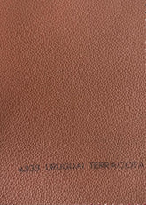 Courvin Automotivo Uruguai Terracota 4333